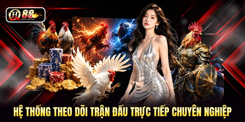 Hệ thống theo dõi trận đấu trực tiếp chuyên nghiệp
